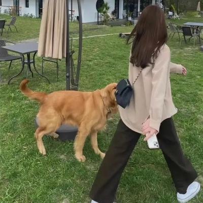 轻骑兵的冲锋