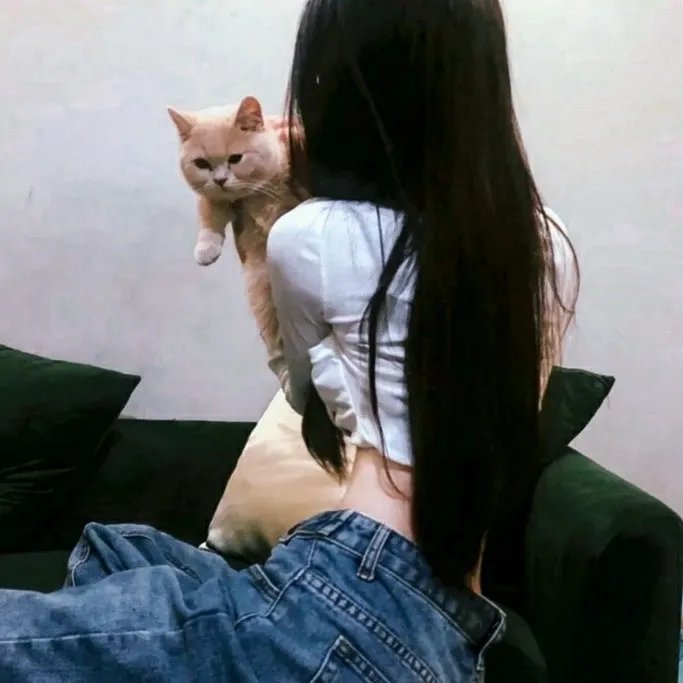 百合的故事